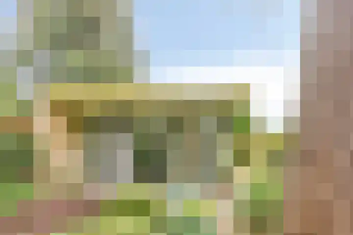 Dianabos 9 Boxtel thumbnail 22