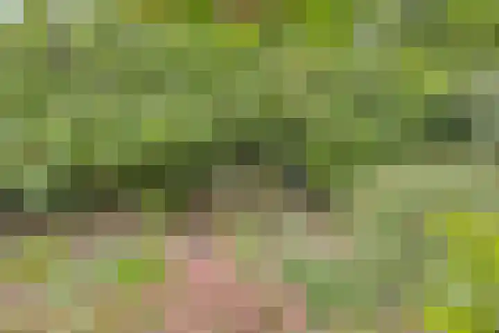 Dianabos 9 Boxtel thumbnail 28