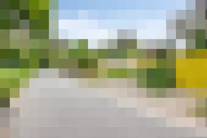 Dianabos 9 Boxtel thumbnail 29
