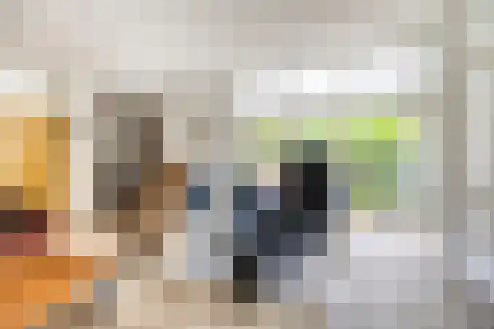 Dianabos 9 Boxtel thumbnail 6