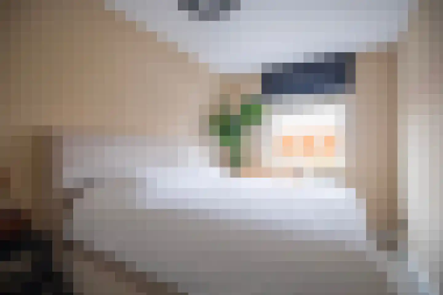 Dianaplantsoen 15 Arnhem thumbnail 14