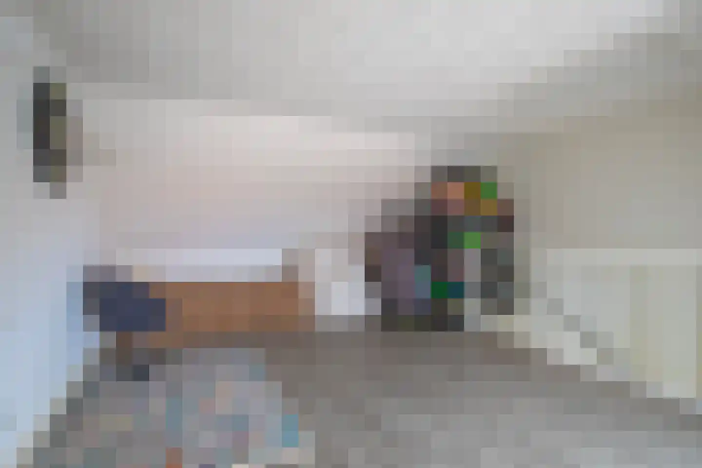 Dianaplantsoen 15 Arnhem thumbnail 19