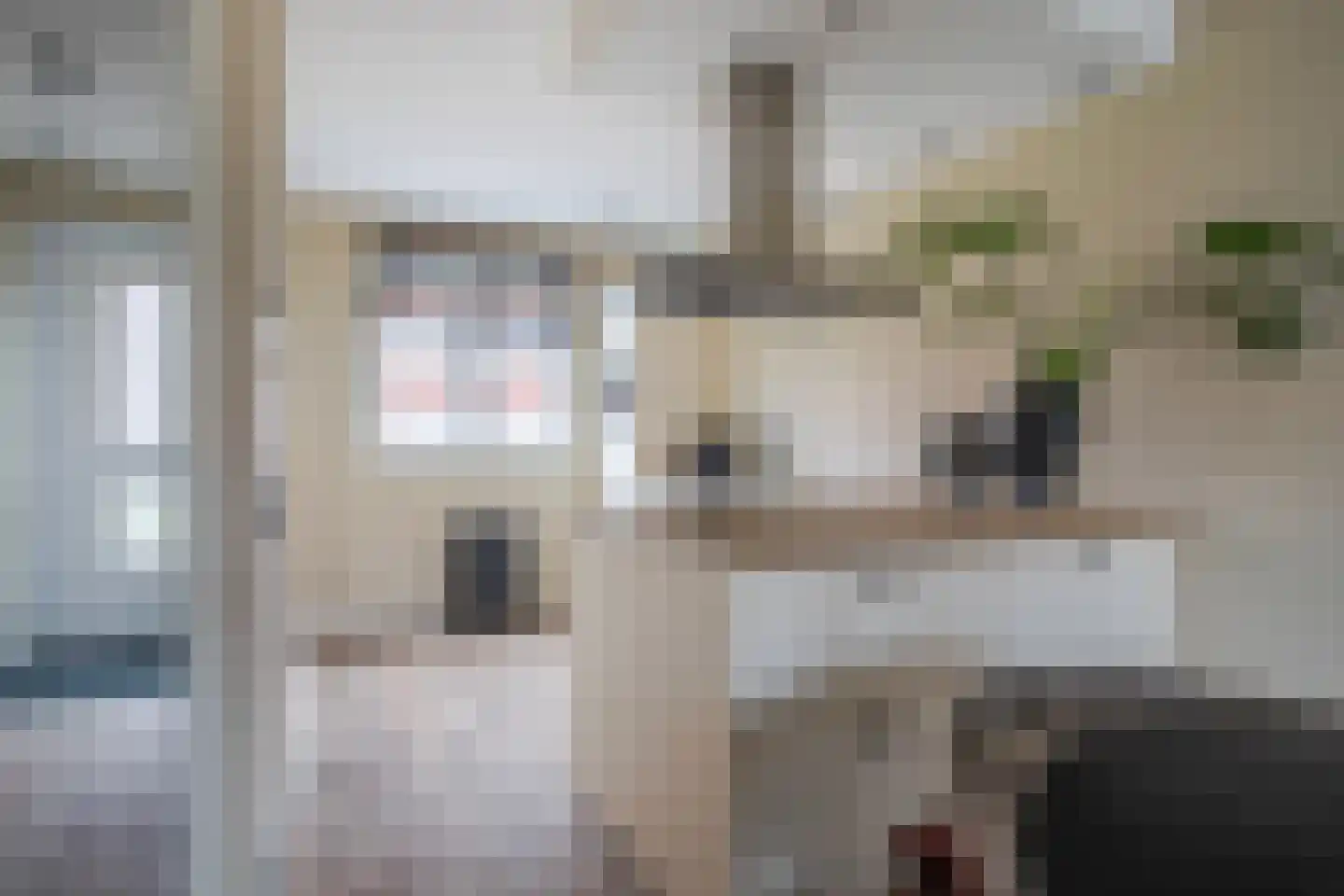 Dianaplantsoen 15 Arnhem thumbnail 7