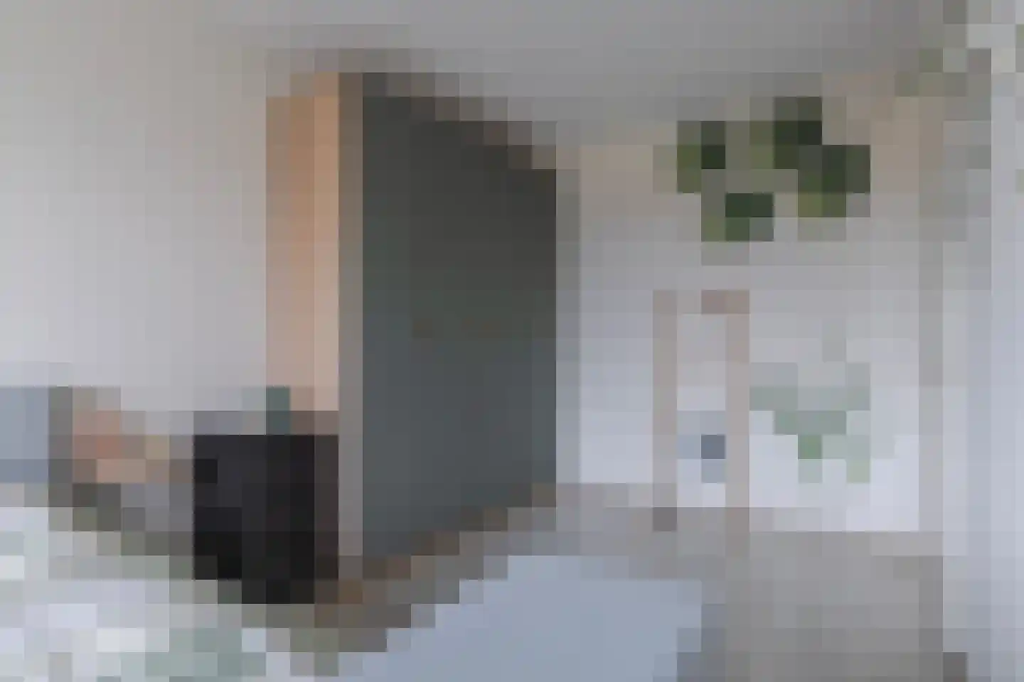 Dianaplantsoen 16 Arnhem thumbnail 14