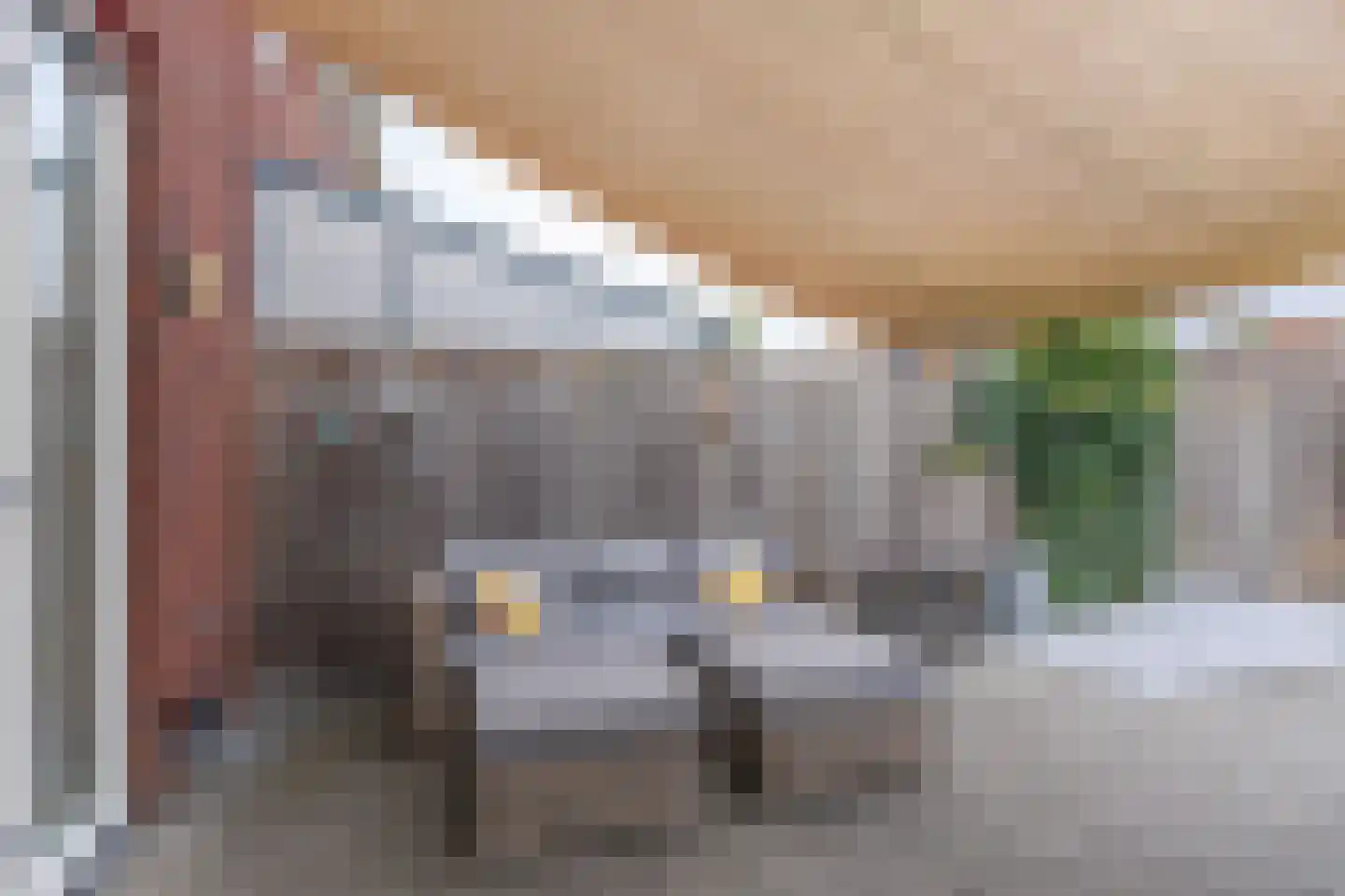 Dianaplantsoen 16 Arnhem thumbnail 22