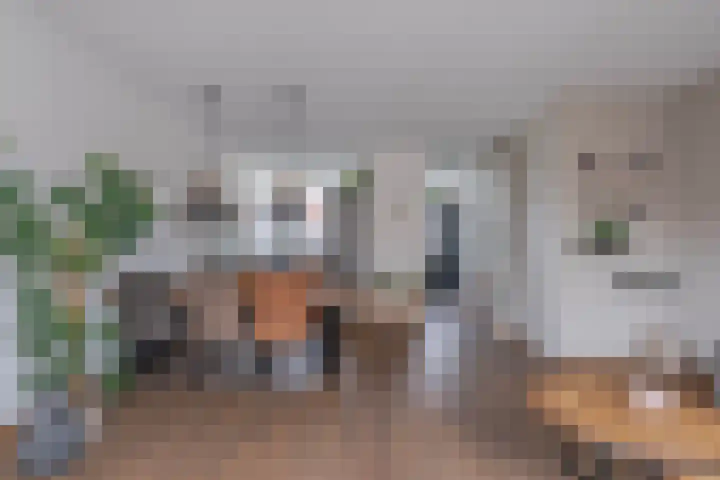 Dianaplantsoen 16 Arnhem thumbnail 8