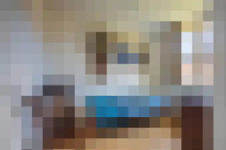 Dianaplantsoen 20 Arnhem thumbnail 17