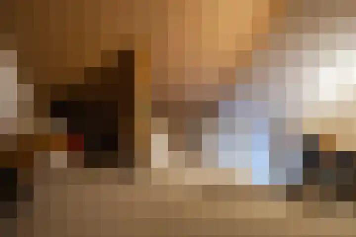 Dianaplantsoen 20 Arnhem thumbnail 20