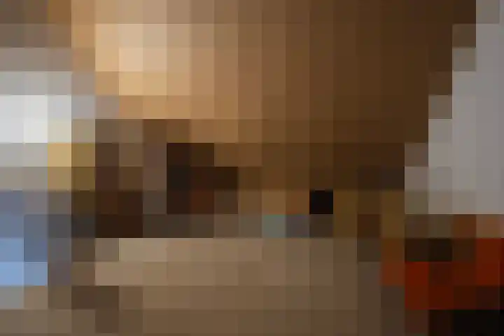 Dianaplantsoen 20 Arnhem thumbnail 21