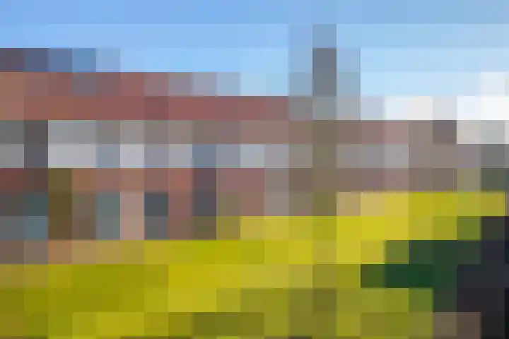 Dianaplantsoen 20 Arnhem thumbnail 26
