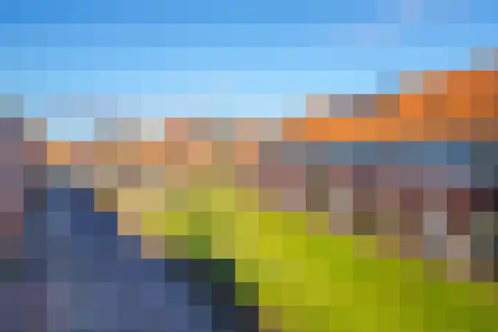Dianaplantsoen 20 Arnhem thumbnail 27