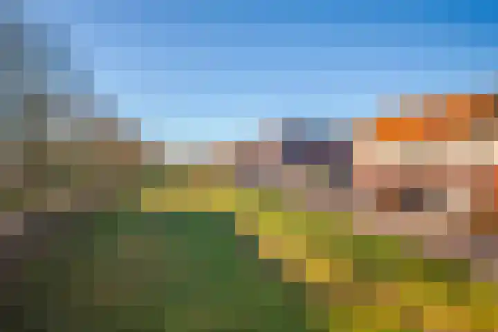 Dianaplantsoen 20 Arnhem thumbnail 28