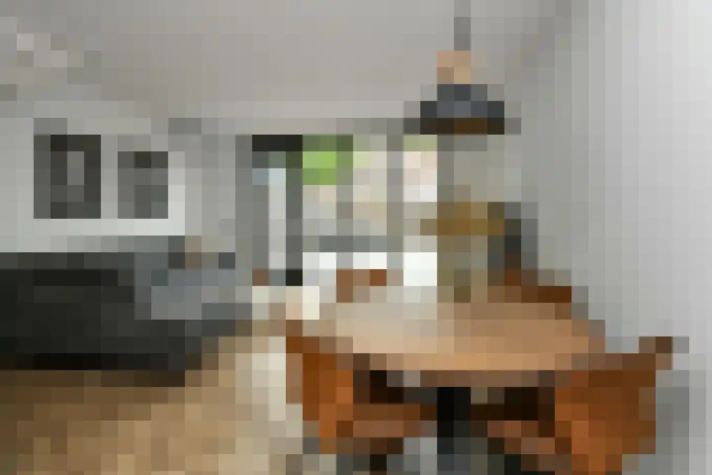 Dianaplantsoen 56 Arnhem thumbnail 18