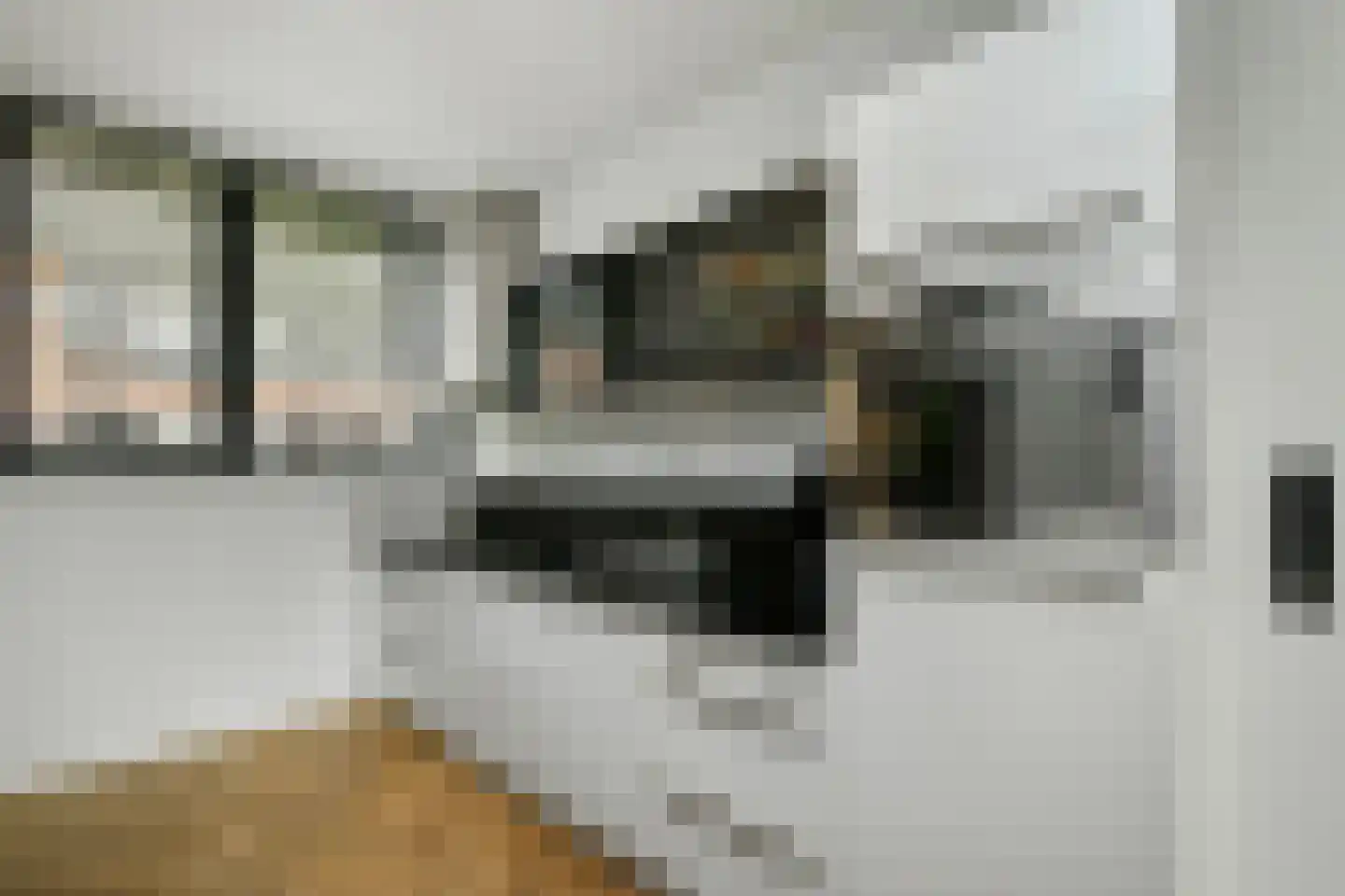 Dianaplantsoen 56 Arnhem thumbnail 20