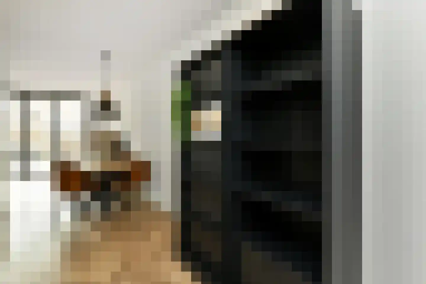 Dianaplantsoen 56 Arnhem thumbnail 23