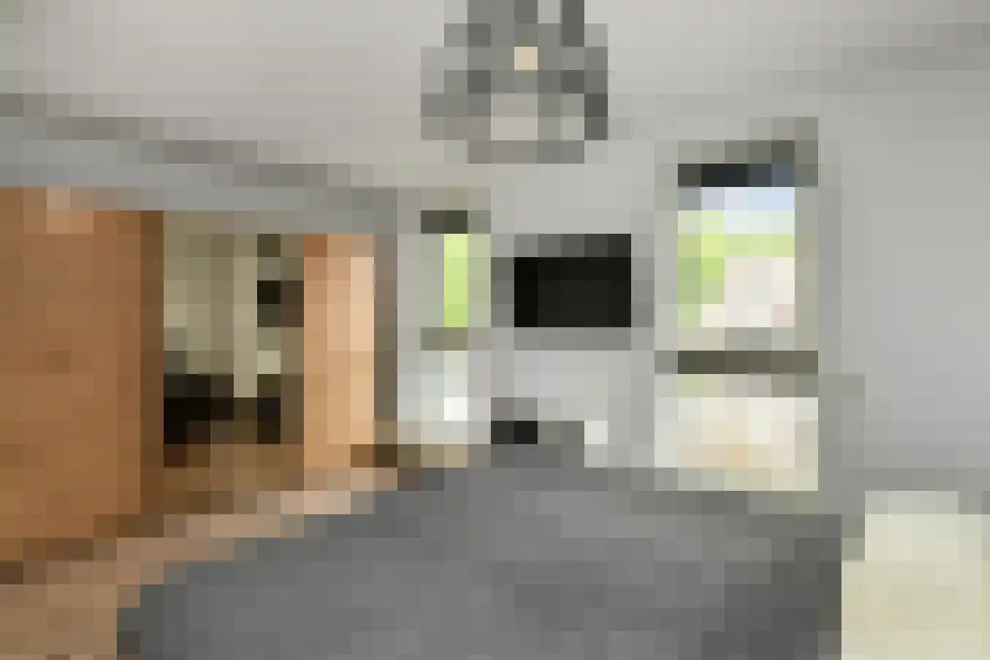 Dianaplantsoen 56 Arnhem thumbnail 28