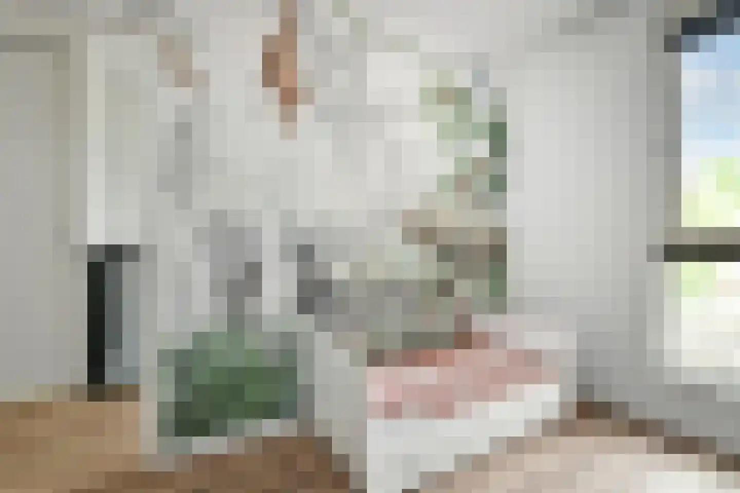 Dianaplantsoen 56 Arnhem thumbnail 39