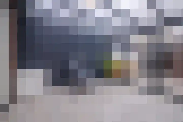 Dianaplantsoen 58 Arnhem thumbnail 10