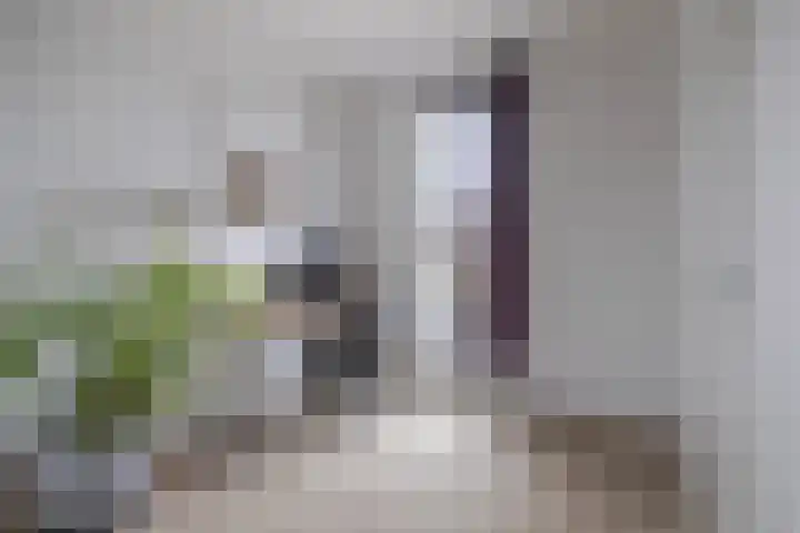 Dianaplantsoen 58 Arnhem thumbnail 17