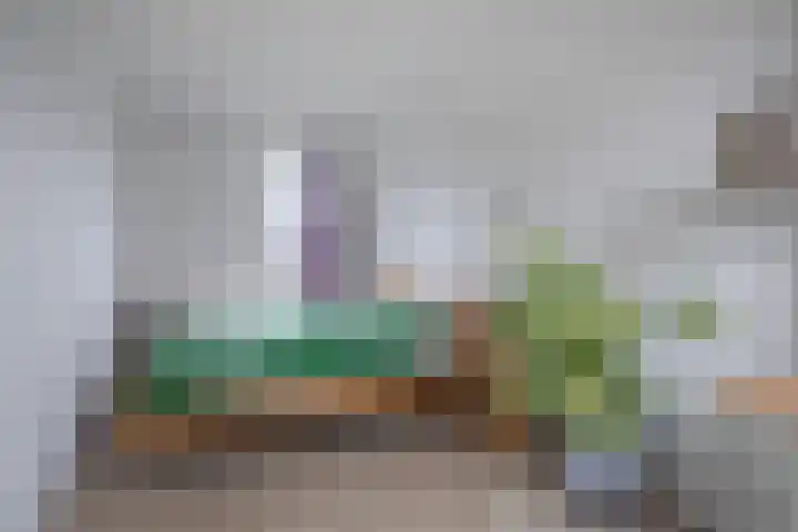 Dianaplantsoen 58 Arnhem thumbnail 18