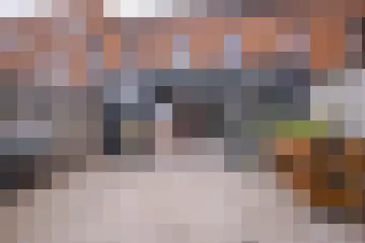 Dianaplantsoen 58 Arnhem thumbnail 20