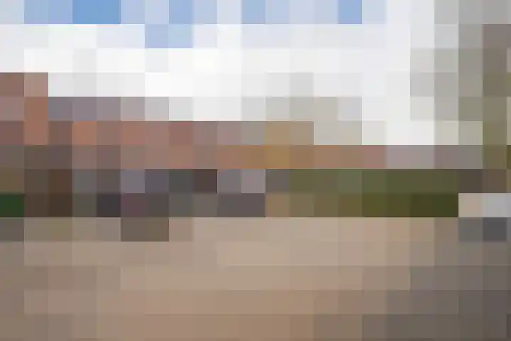Dianaplantsoen 58 Arnhem thumbnail 21