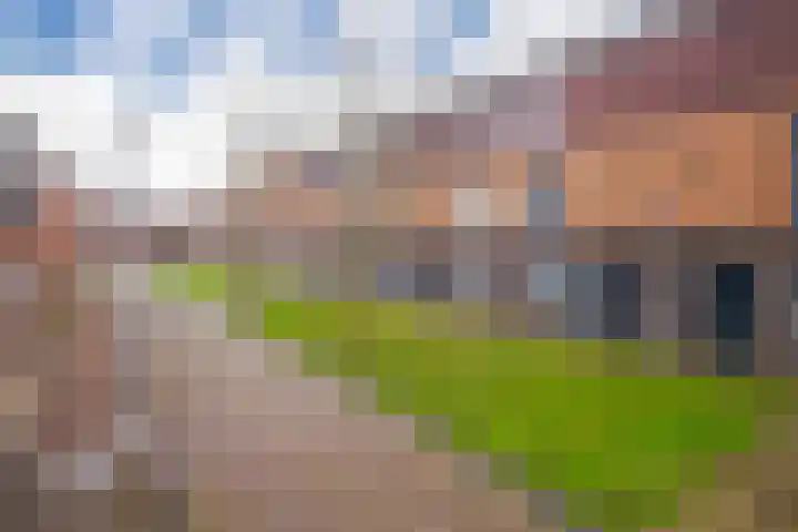 Dianaplantsoen 58 Arnhem thumbnail 22