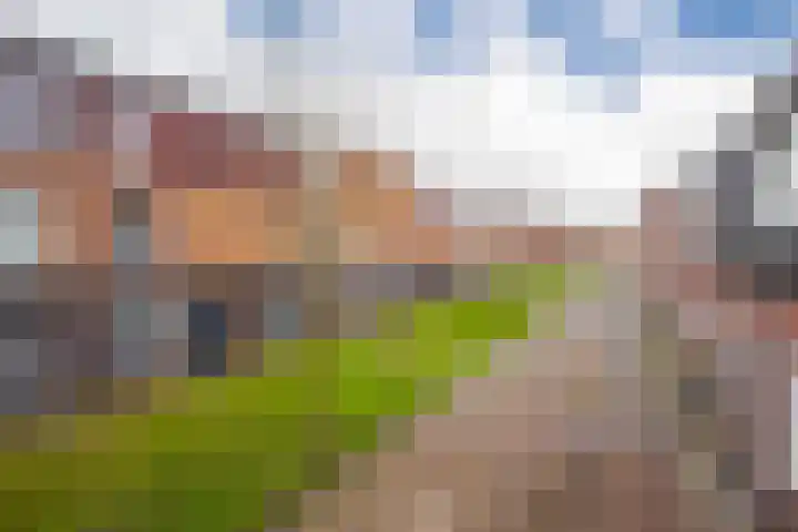 Dianaplantsoen 58 Arnhem thumbnail 23