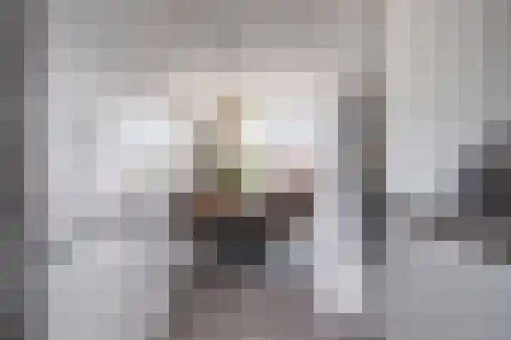 Dianaplantsoen 58 Arnhem thumbnail 5