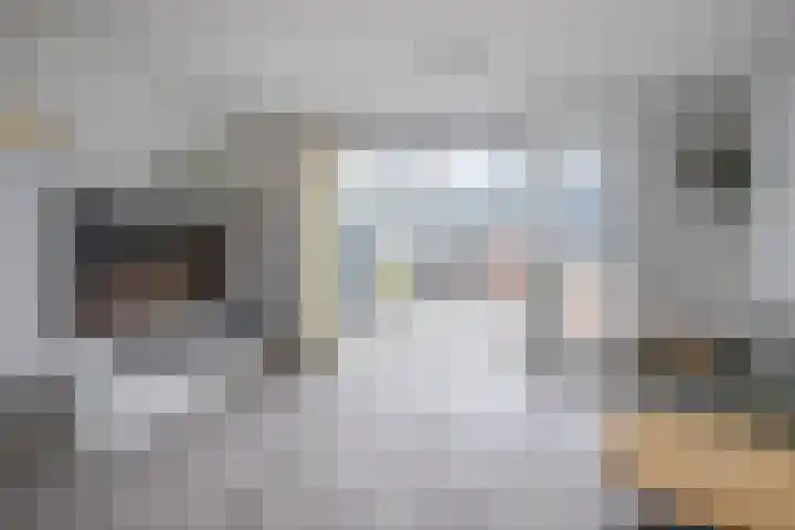 Dianaplantsoen 58 Arnhem thumbnail 6