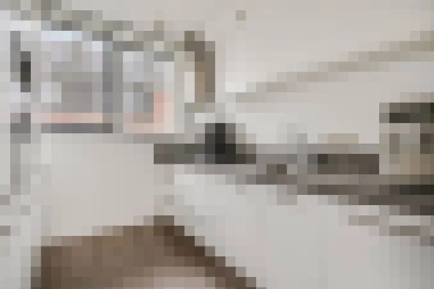Dianaplantsoen 60 Arnhem thumbnail 11