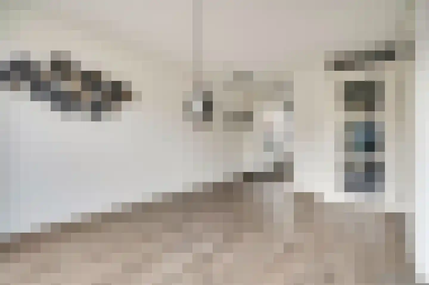 Dianaplantsoen 60 Arnhem thumbnail 6