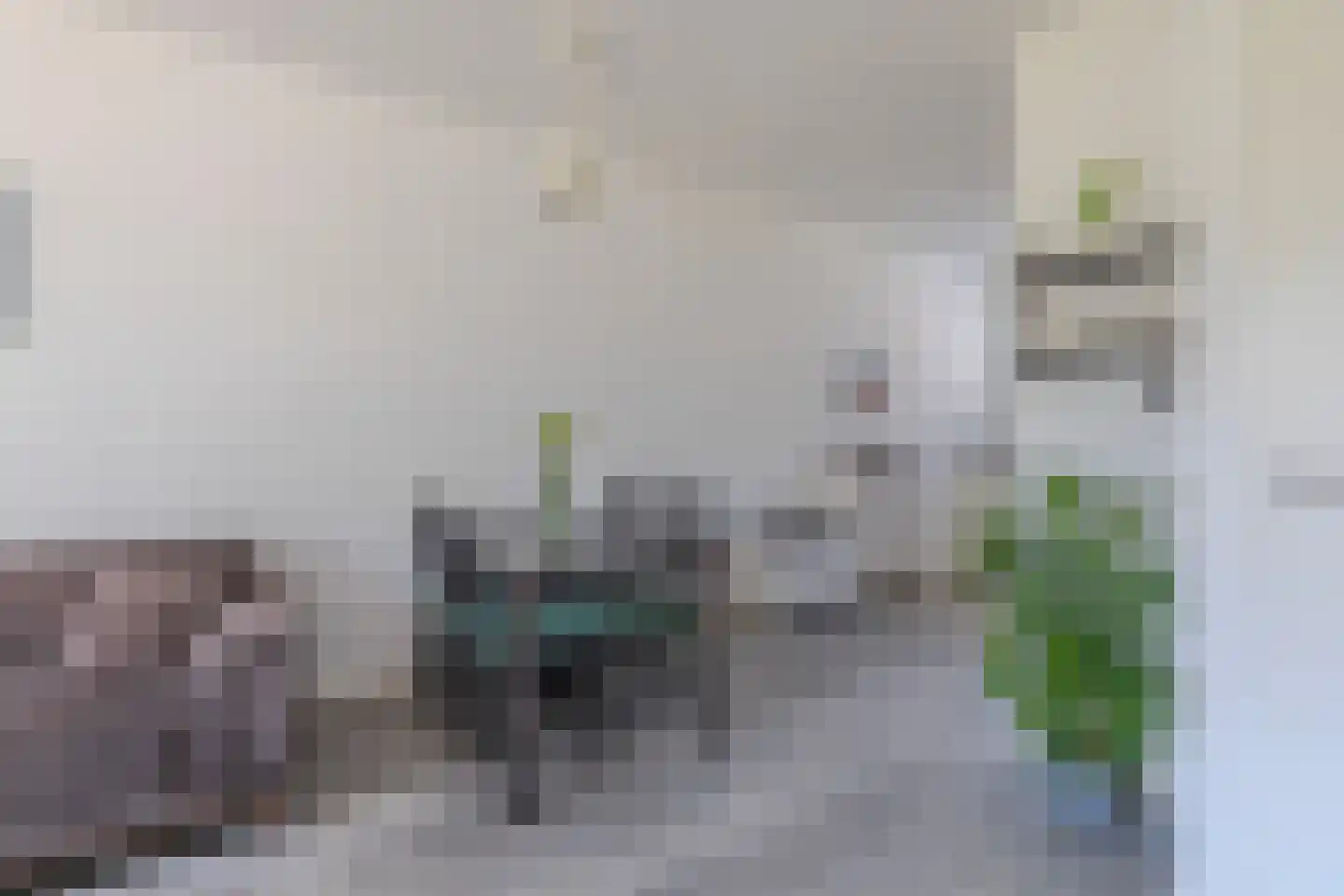 Dianaplantsoen 76 Arnhem thumbnail 11