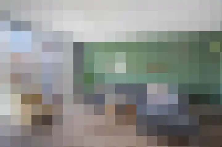 Dianaplantsoen 82 Arnhem thumbnail 11