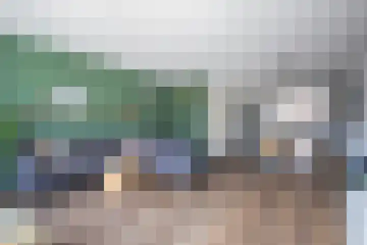 Dianaplantsoen 82 Arnhem thumbnail 12