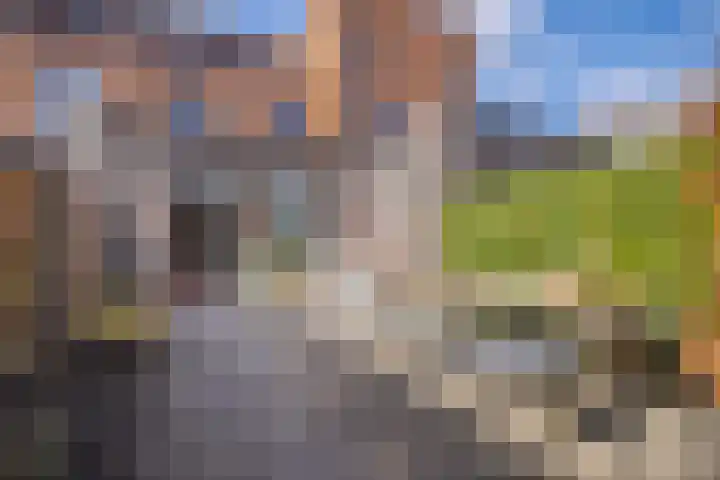 Dianaplantsoen 82 Arnhem thumbnail 28