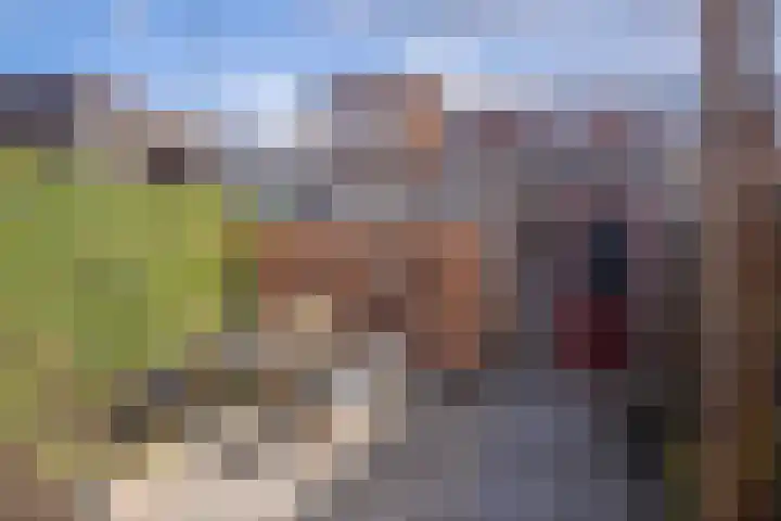 Dianaplantsoen 82 Arnhem thumbnail 29