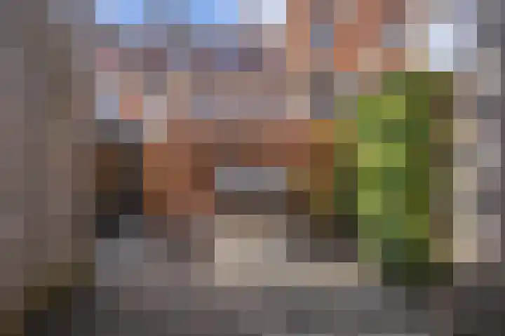 Dianaplantsoen 82 Arnhem thumbnail 30