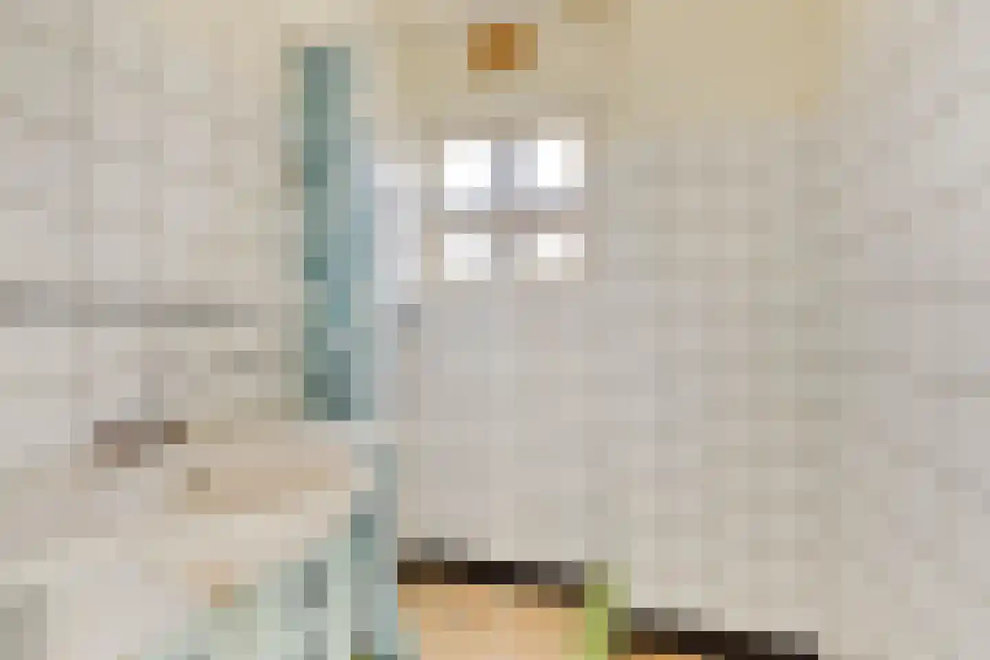Dianastraat 31 Berlicum thumbnail 15