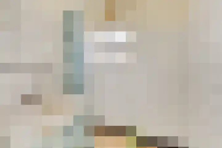Dianastraat 31 Berlicum thumbnail 15