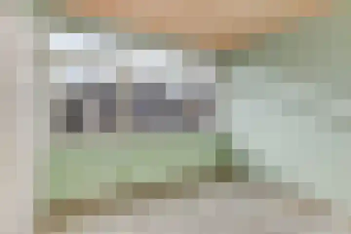 Dianastraat 31 Berlicum thumbnail 18