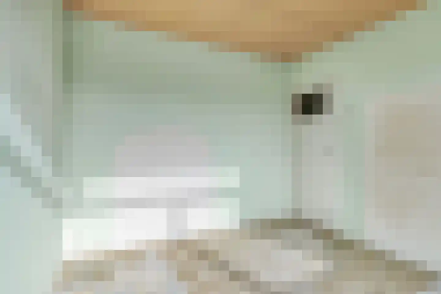 Dianastraat 31 Berlicum thumbnail 19