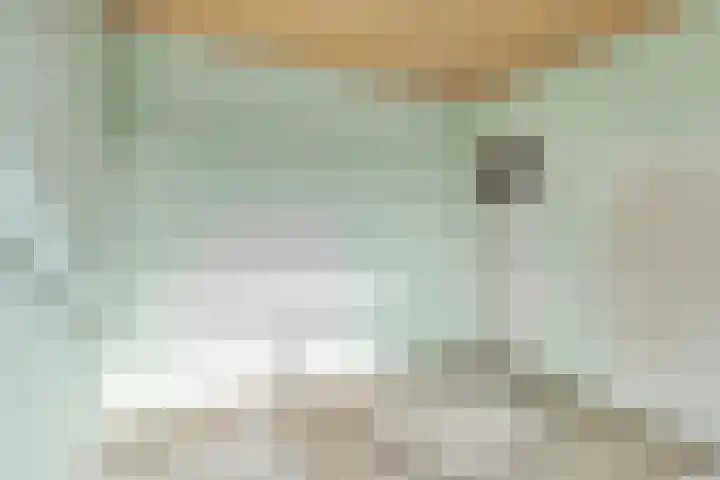 Dianastraat 31 Berlicum thumbnail 19