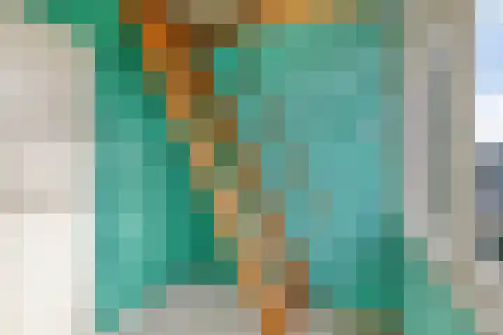 Dianastraat 31 Berlicum thumbnail 22