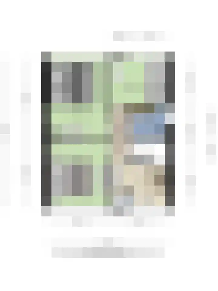 Dianastraat 31 Berlicum thumbnail 38
