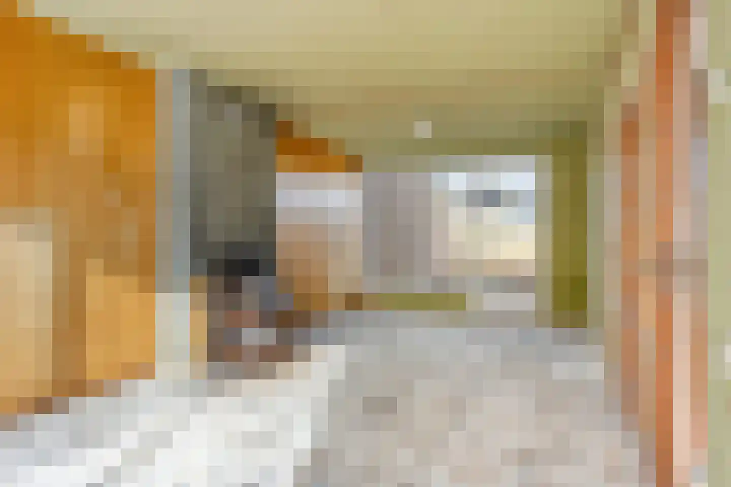 Dianastraat 31 Berlicum thumbnail 4