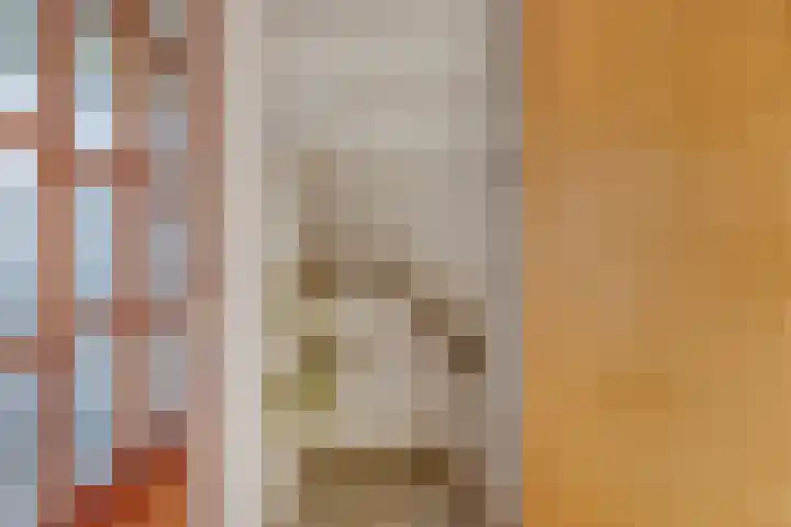Dianastraat 31 Berlicum thumbnail 9