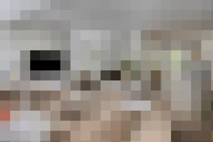 Dianastraat 32 Berlicum thumbnail 12