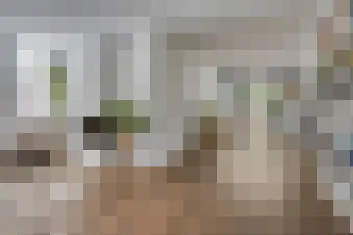 Dianastraat 32 Berlicum thumbnail 13