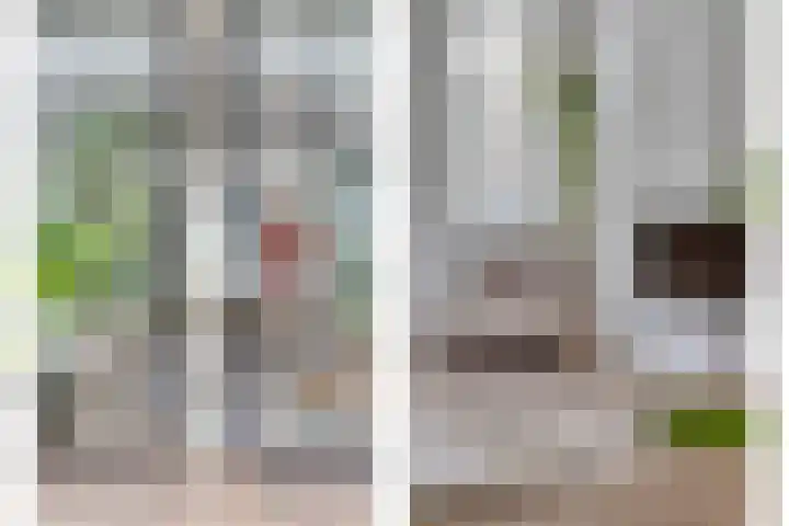 Dianastraat 32 Berlicum thumbnail 14